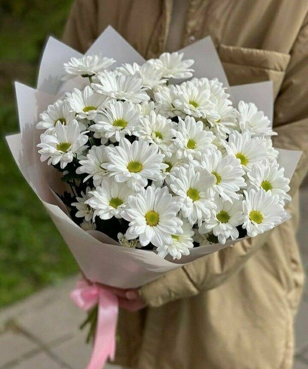 Букет из пяти ромашкообразных хризантем, артикул F1480699 - 2475 рублей, доставка по городу. Flawery - доставка цветов