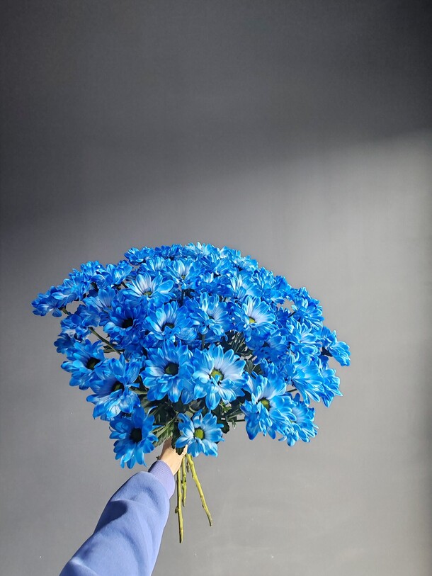 Букет 7 синих хризантем, артикул F1411145 - 4015 рублей, доставка по городу. Flawery - доставка цветов