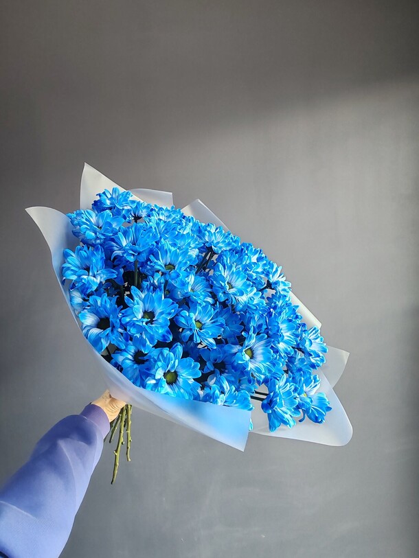 Букет 9 синих хризантем в упаковке, артикул F1411157 - 6325 рублей, доставка по городу. Flawery - доставка цветов