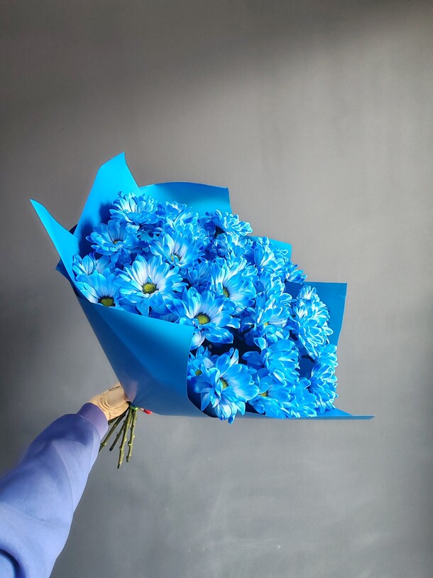 Букет 7 синих хризантем в упаковке, артикул F1411161 - 4642 рублей, доставка по городу. Flawery - доставка цветов