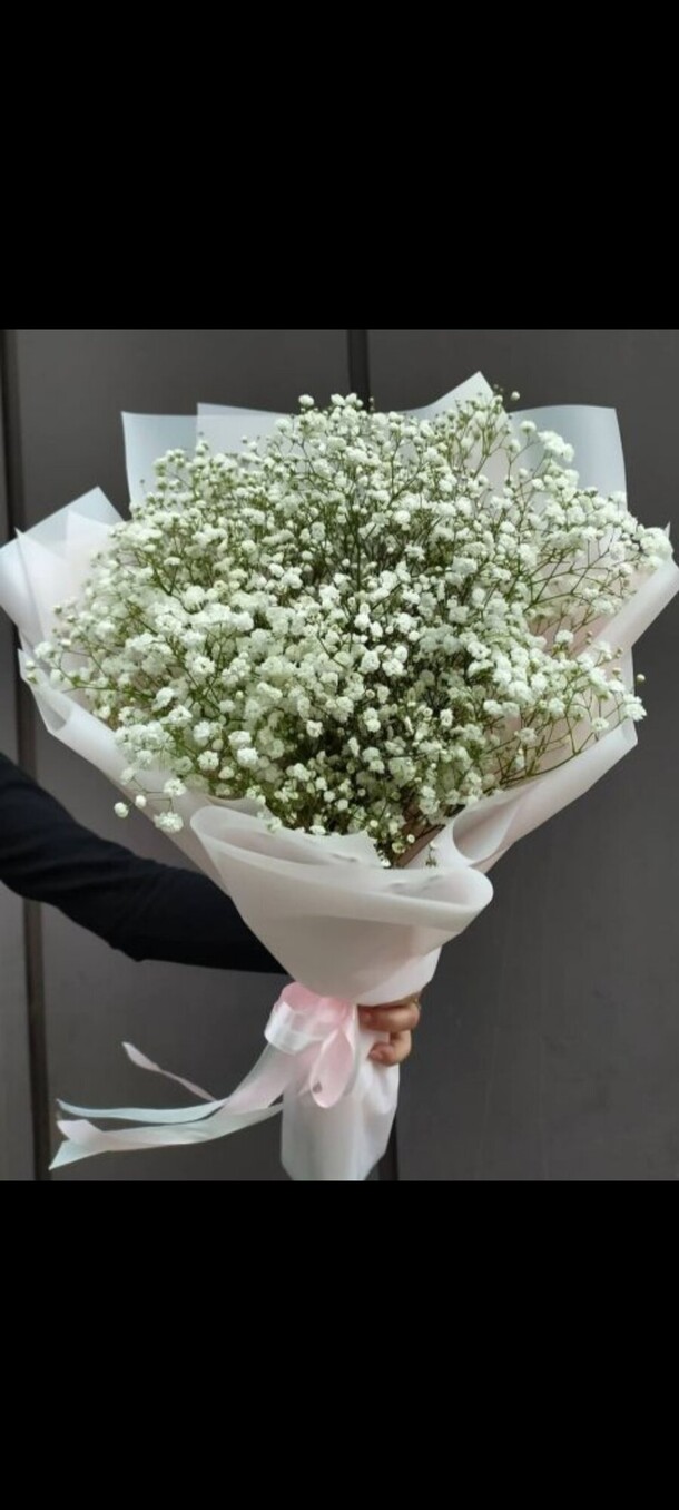 Белая гипсофила в матовой плёнке, артикул F1087579 - 3259 рублей, доставка по городу. Flawery - доставка цветов