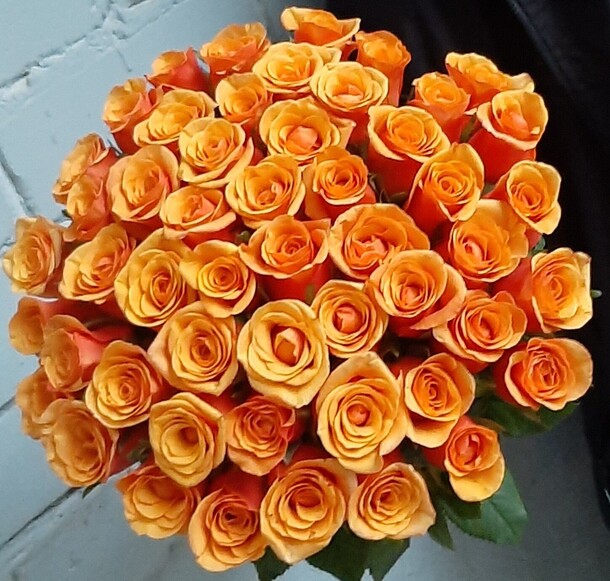 51 роза испания, артикул F1308056 - 8000 рублей, доставка по городу. Flawery - доставка цветов