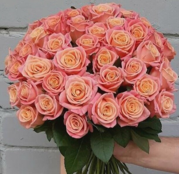 35 коралловых роз, артикул F1324837 - 8000 рублей, доставка по городу. Flawery - доставка цветов