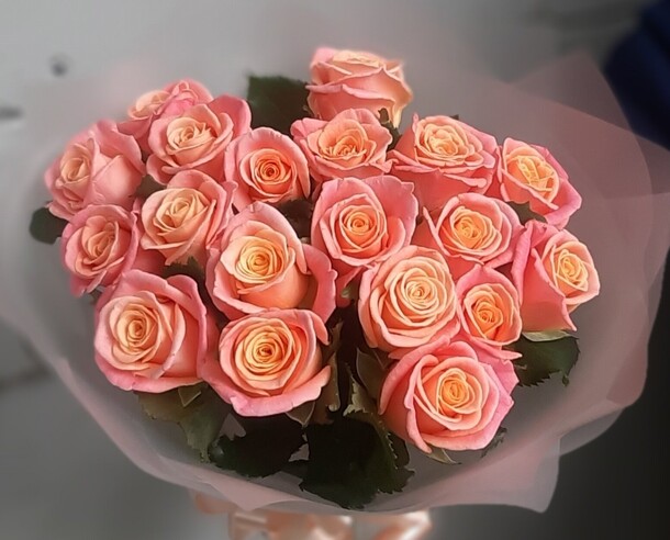 19 коралловых роз с оформлением, артикул F1326591 - 2640 рублей, доставка по городу. Flawery - доставка цветов