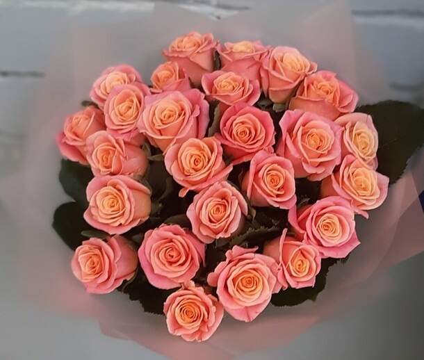 25 коралловых роз, артикул F1335411 - 3632 рублей, доставка по городу. Flawery - доставка цветов