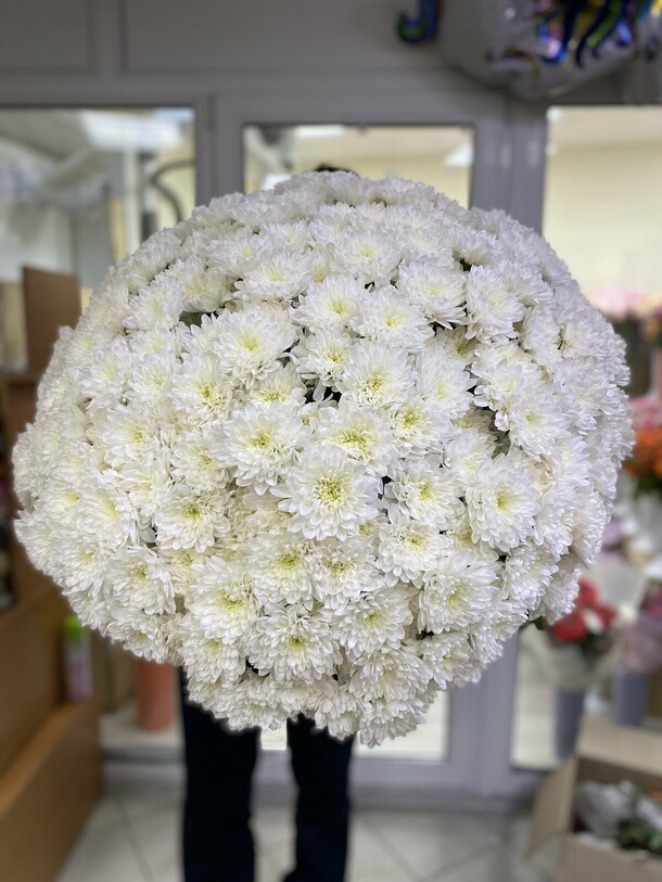 Метель, артикул F1087521 - 21435 рублей, доставка по городу. Flawery - доставка цветов