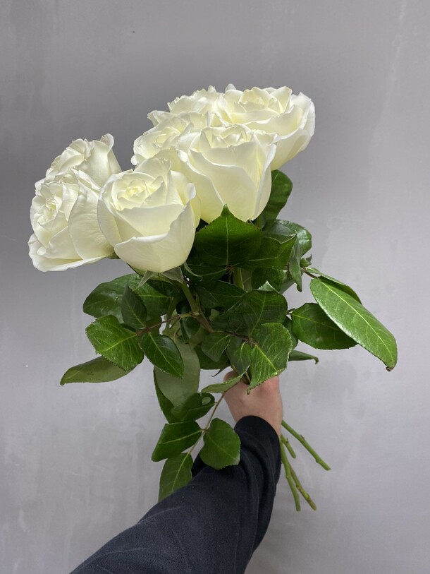 7 роз, артикул F1192849 - 2610 рублей, доставка по городу. Flawery - доставка цветов