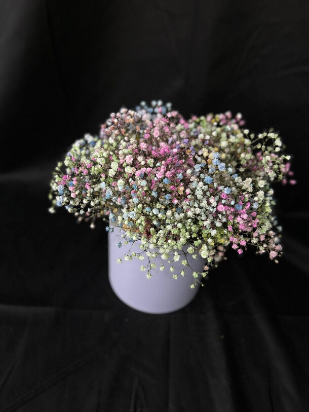 Гипсофила в коробочке, артикул F1320518 - 5395 рублей, доставка по городу. Flawery - доставка цветов