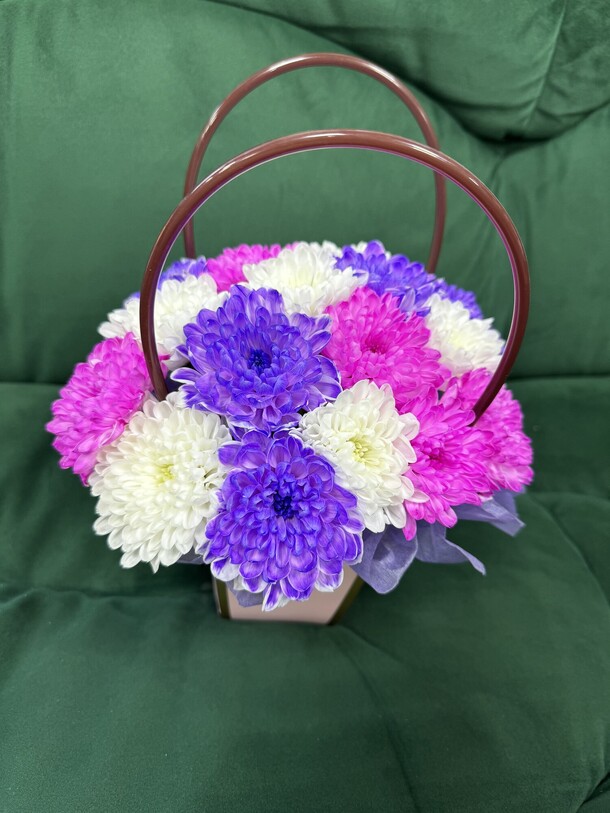 Хризантемы микс в сумочке, артикул F1436265 - 1635 рублей, доставка по городу. Flawery - доставка цветов