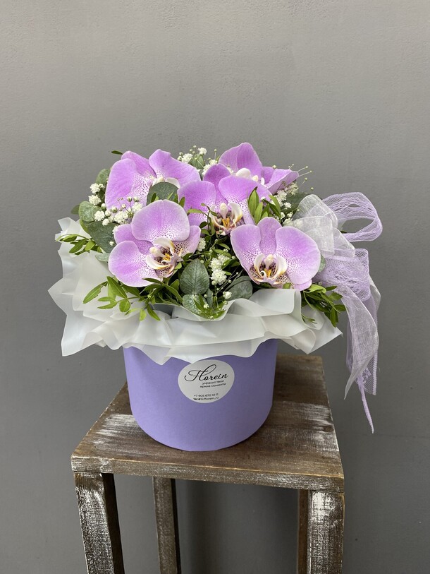 Орхидеи в коробке 💜, артикул F1216129 - 6353 рублей, доставка по городу. Flawery - доставка цветов