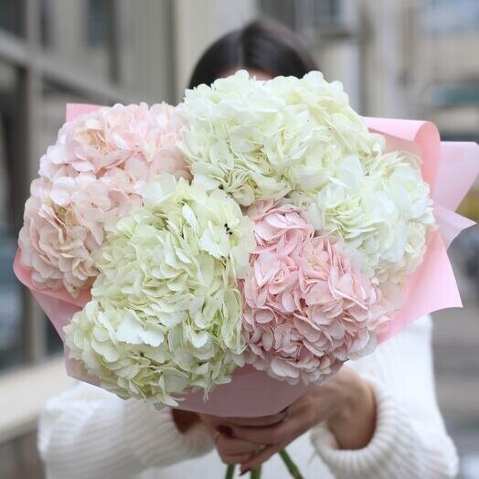 Пышный букет из 5 нежных гортензий, артикул F1385586 - 6500 рублей, доставка по городу. Flawery - доставка цветов