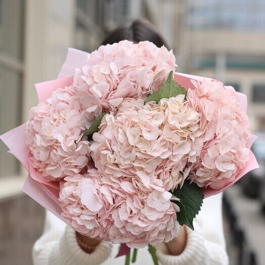 Букет из 5 розовых гортензий, артикул F1385587 - 5555 рублей, доставка по городу. Flawery - доставка цветов