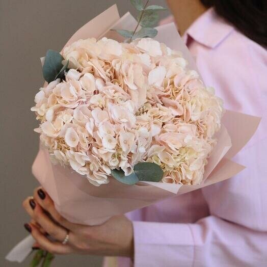 Букет из 3 нежных розовых гортензий в упаковке, артикул F1450989 - 3589 рублей, доставка по городу. Flawery - доставка цветов