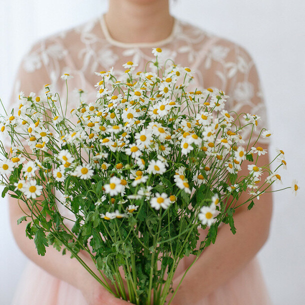 Букет из 15 ромашек, артикул F1065165 - 5618 рублей, доставка по городу. Flawery - доставка цветов
