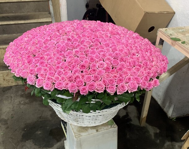 301 роз, артикул F1139959 - 107800 рублей, доставка по городу. Flawery - доставка цветов
