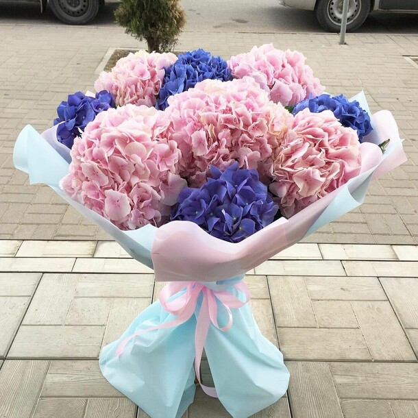 Гортензия 9, артикул F1146247 - 5099 рублей, доставка по городу. Flawery - доставка цветов