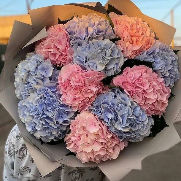 Гортензия микс, артикул F1168789 - 8975 рублей, доставка по городу. Flawery - доставка цветов