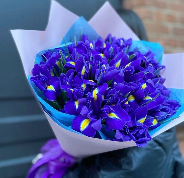 Букет из синих ирисов, артикул F1169074 - 9188 рублей, доставка по городу. Flawery - доставка цветов