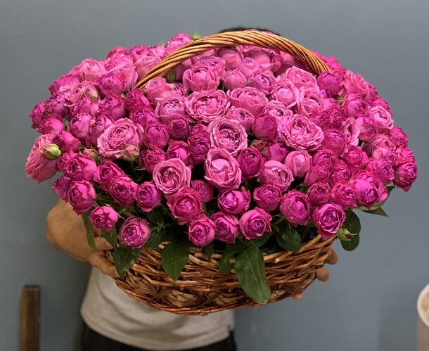 Мисти бабблс, артикул F1202842 - 35455 рублей, доставка по городу. Flawery - доставка цветов