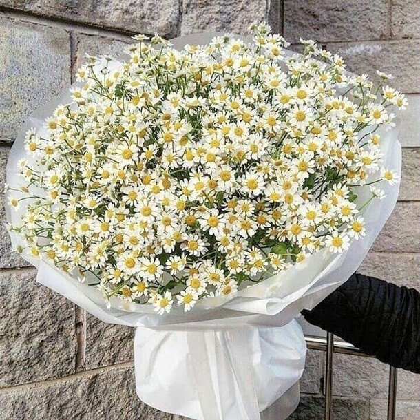 Ромашки, артикул F1210759 - 18656 рублей, доставка по городу. Flawery - доставка цветов