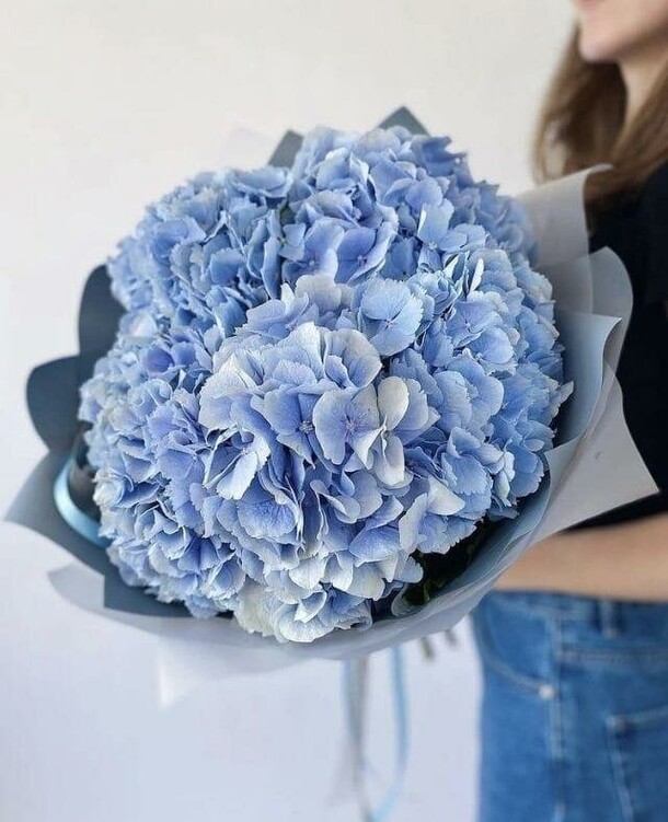 Гортензия крупнолистная, артикул F1211701 - 4799 рублей, доставка по городу. Flawery - доставка цветов