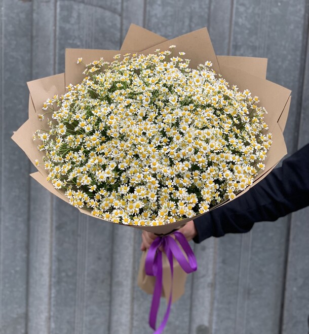 Ромашка кустовая, артикул F1212866 - 11818 рублей, доставка по городу. Flawery - доставка цветов