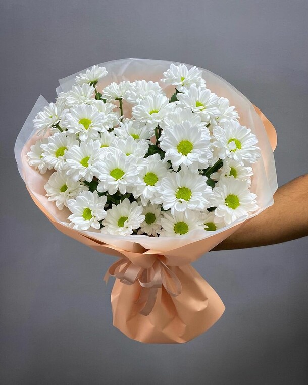 Хризантема кустовая, артикул F1212875 - 3999 рублей, доставка по городу. Flawery - доставка цветов