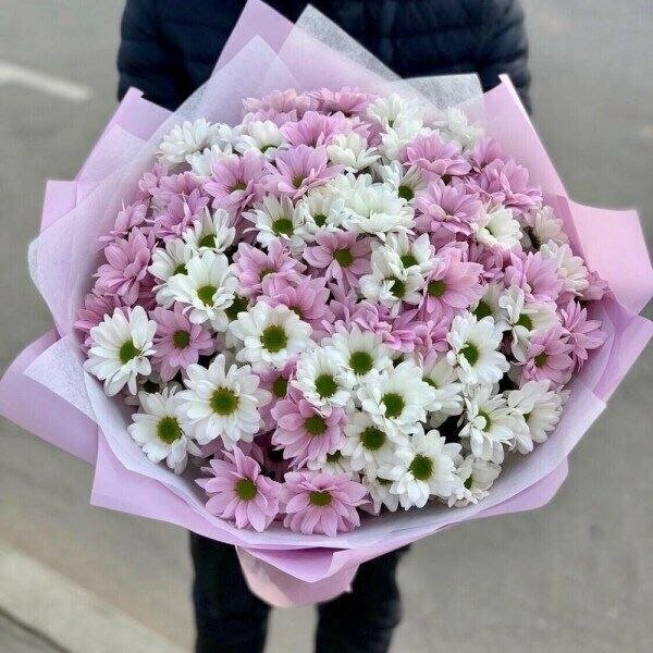 Хризантема, артикул F1219694 - 4499 рублей, доставка по городу. Flawery - доставка цветов