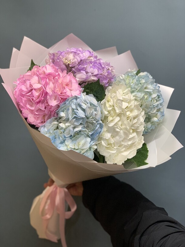 Гортензия микс, артикул F1223304 - 5300 рублей, доставка по городу. Flawery - доставка цветов