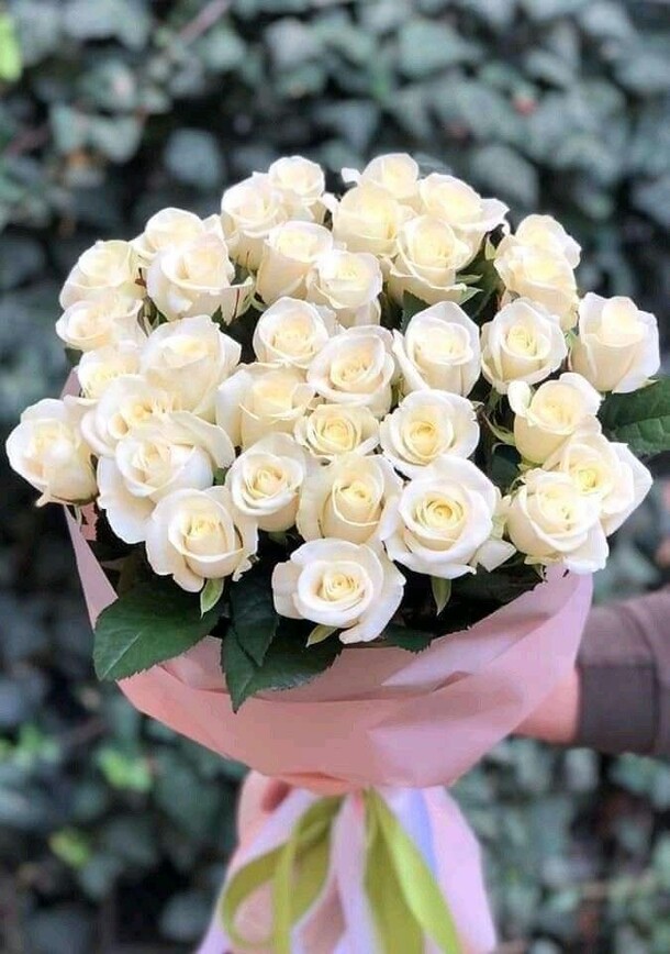 Белые 60 см, артикул F1225794 - 6999 рублей, доставка по городу. Flawery - доставка цветов