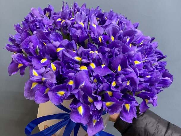 Ирис, артикул F1240314 - 9818 рублей, доставка по городу. Flawery - доставка цветов