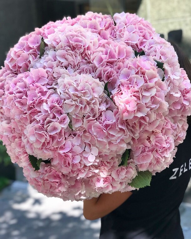 25 гортензия, артикул F1243358 - 18000 рублей, доставка по городу. Flawery - доставка цветов