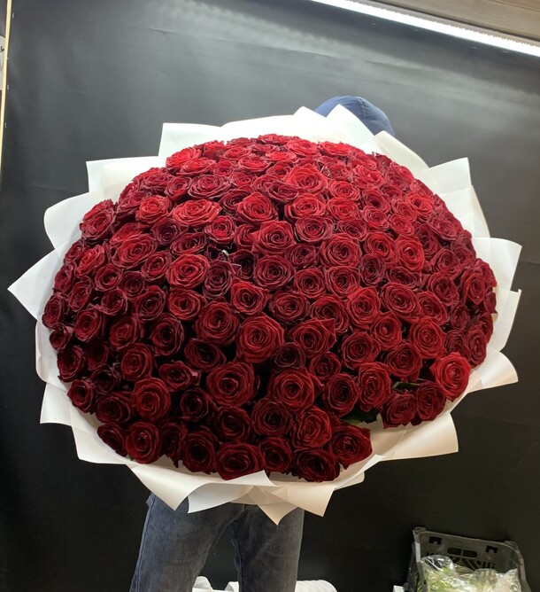 151 роза, артикул F1245566 - 43999 рублей, доставка по городу. Flawery - доставка цветов