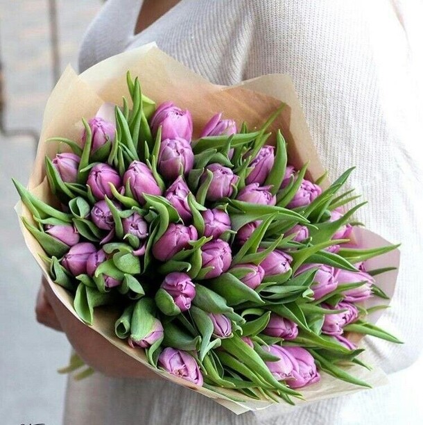 51 тюльпанов, артикул F1249236 - 13999 рублей, доставка по городу. Flawery - доставка цветов