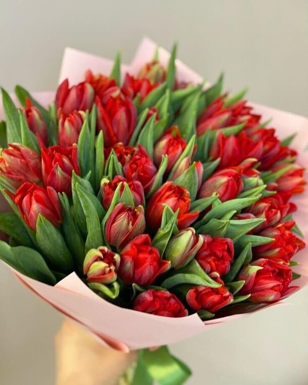 49 тюльпан, артикул F1249699 - 15730 рублей, доставка по городу. Flawery - доставка цветов