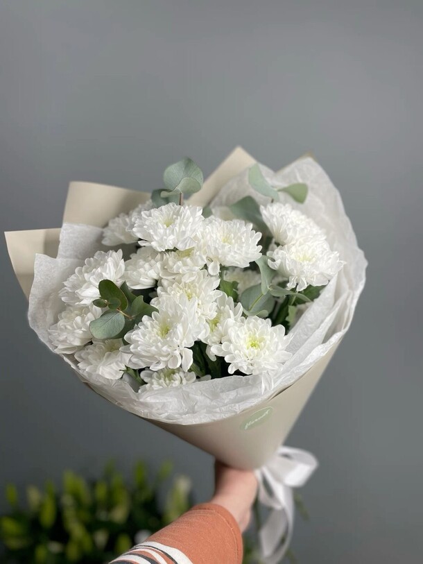 Хризантема белая, артикул F1301846 - 3199 рублей, доставка по городу. Flawery - доставка цветов