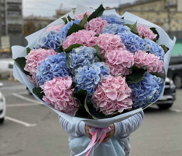 Гортензия xl, артикул F1302282 - 14888 рублей, доставка по городу. Flawery - доставка цветов