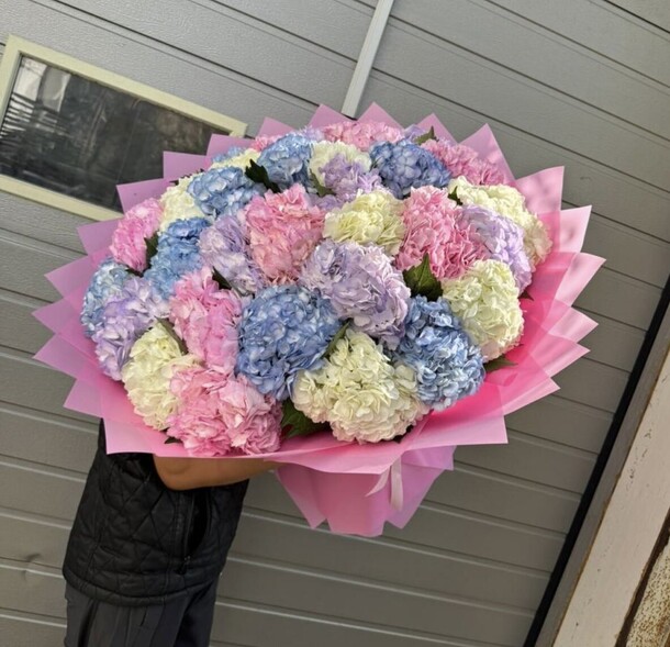 Гортензия микс, артикул F1331022 - 25500 рублей, доставка по городу. Flawery - доставка цветов