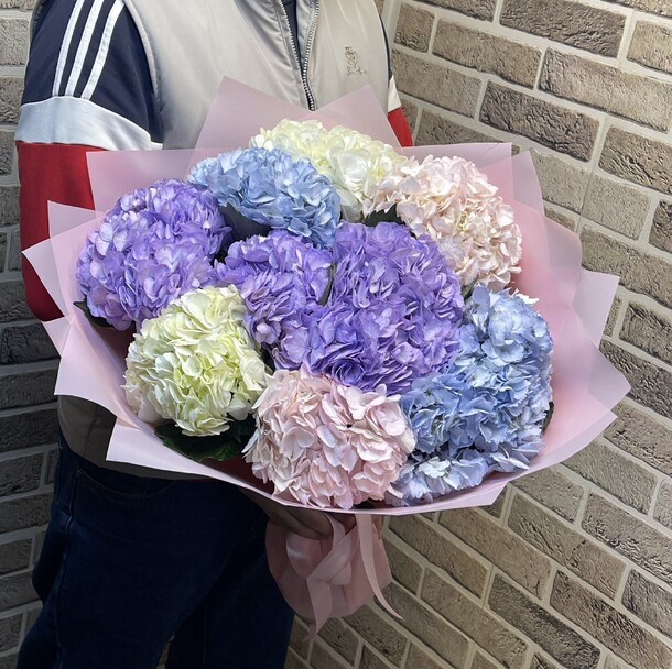 Гортензия микс 9, артикул F1331982 - 6999 рублей, доставка по городу. Flawery - доставка цветов