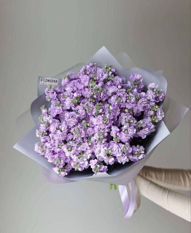 Букет из маттиола, артикул F1335587 - 9680 рублей, доставка по городу. Flawery - доставка цветов