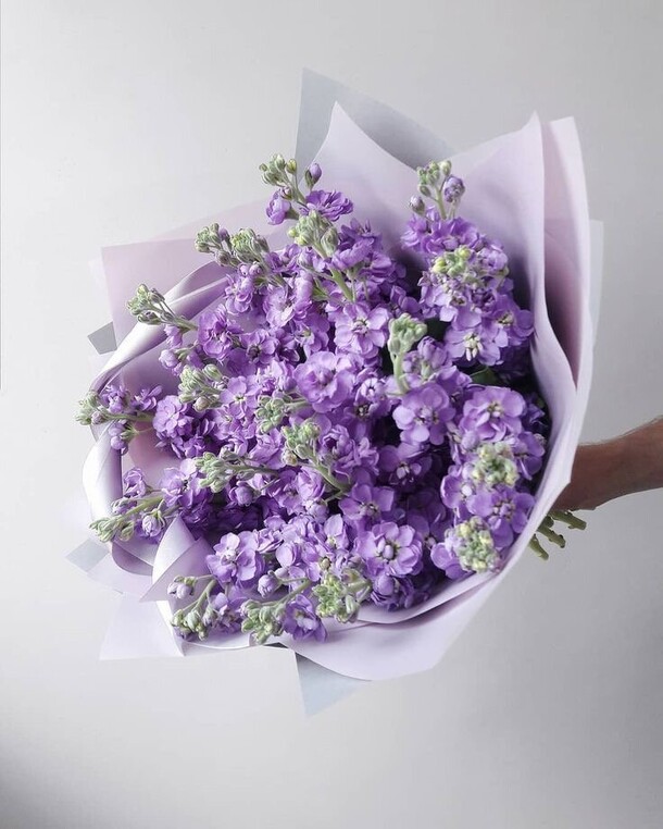 Маттиола, артикул F1335589 - 5600 рублей, доставка по городу. Flawery - доставка цветов