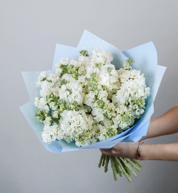 Маттиола белая, артикул F1335593 - 6999 рублей, доставка по городу. Flawery - доставка цветов