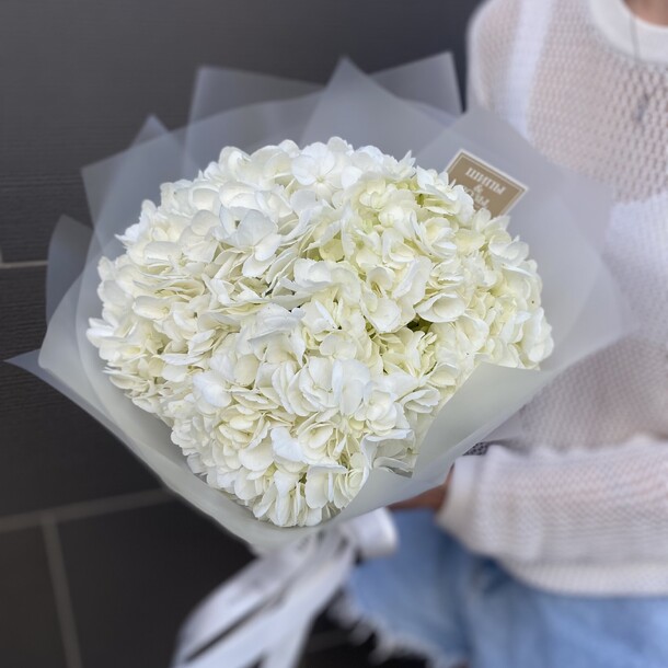 Белый пломбир, артикул F1389277 - 3500 рублей, доставка по городу. Flawery - доставка цветов