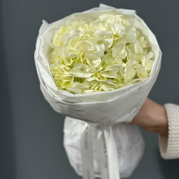 Монобукет из одной гортензии, артикул F1491402 - 1300 рублей, доставка по городу. Flawery - доставка цветов