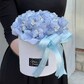 Голубая гортензия в шляпной коробке