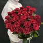 31 шт Красная роза 60см