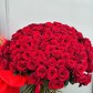 Букет из 101 красной розы, 80 см