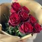 Розы Эквадор красные 7шт