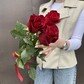 Роза Эквадор красная 3 шт
