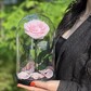 Нежно розовая «VIP» Роза в колбе в подарочной коробке- живет 5 лет. 29 см